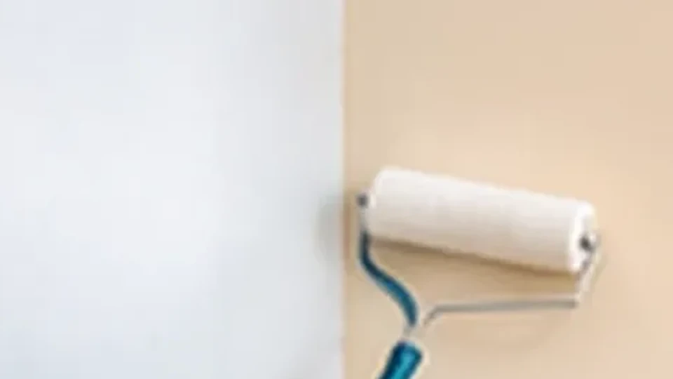 Illustrative image: a paint roller being run across a part-painted interior wall.